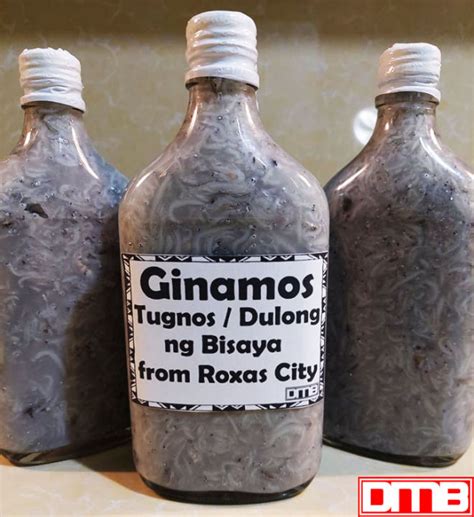 Ginamos .